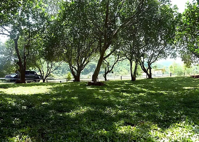 Monoko Porploen Suanphung